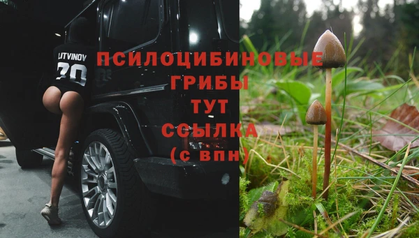 мяу мяу кристалл Корсаков